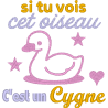 Si tu vois cet oiseau c'est un Cygne
